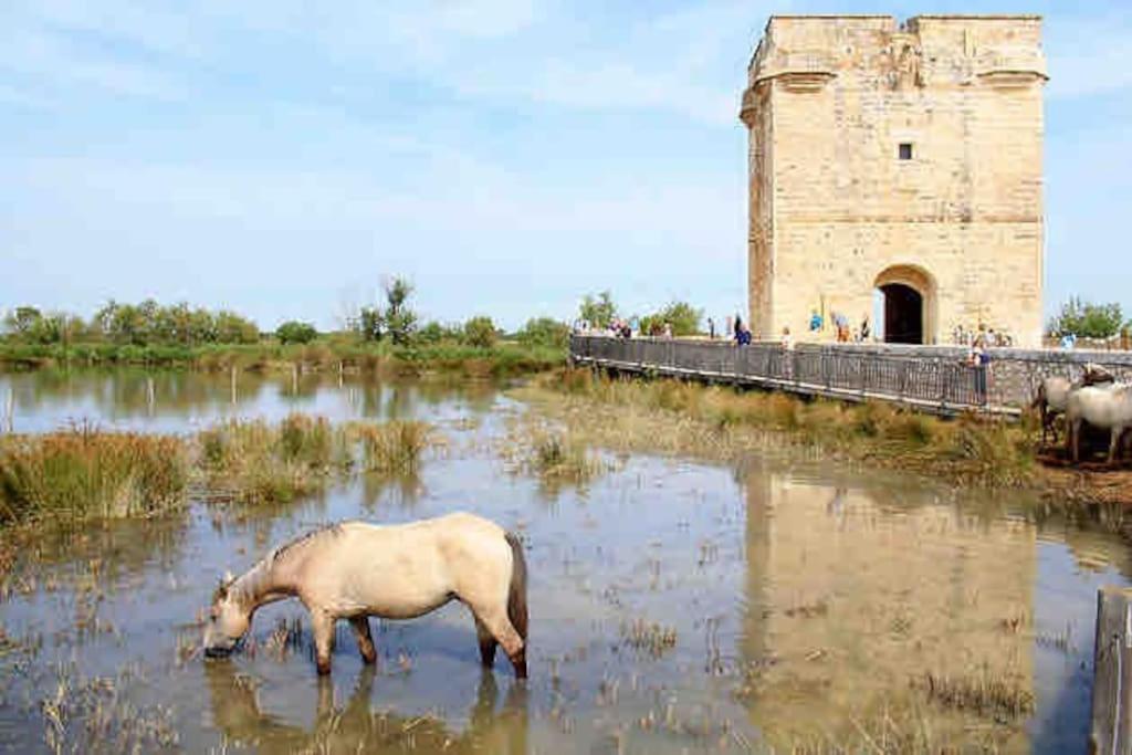 Maison Chaleureuse A 5 Mins Des Remparts Aigues-Mortes Zewnętrze zdjęcie